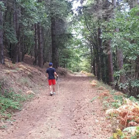 Prázdninový dům Montclar, 4 Pièces, 5 Personnes - Fr-1-601-476 Montclar (Aveyron)